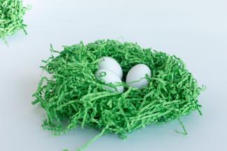 eggs in basket